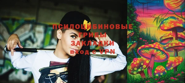 ГАЛЛЮЦИНОГЕННЫЕ ГРИБЫ Осташков