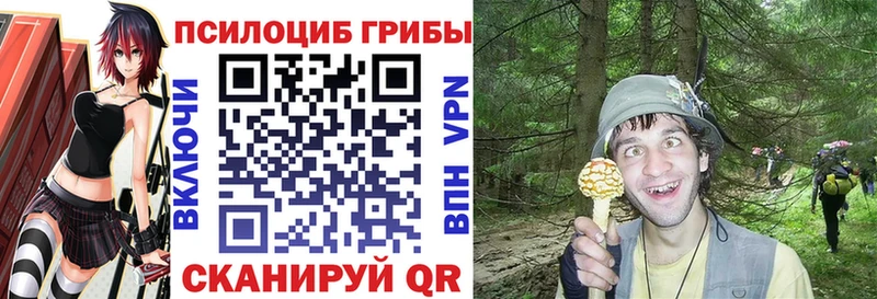 Галлюциногенные грибы Cubensis  Сретенск 